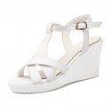 Women's Shoes Leatherette Wedge Heel Wedges Sandals Wedding / Party & Evening / Dress / Casual White / Silver